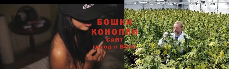 Бошки Шишки White Widow  Майский 